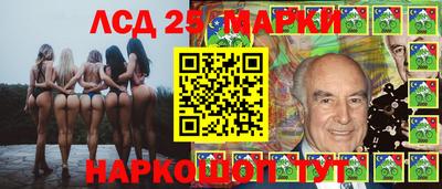 шишки Лесосибирск