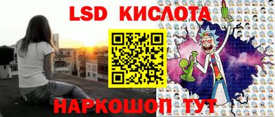 шишки Лесосибирск