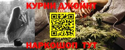 шишки Лесосибирск