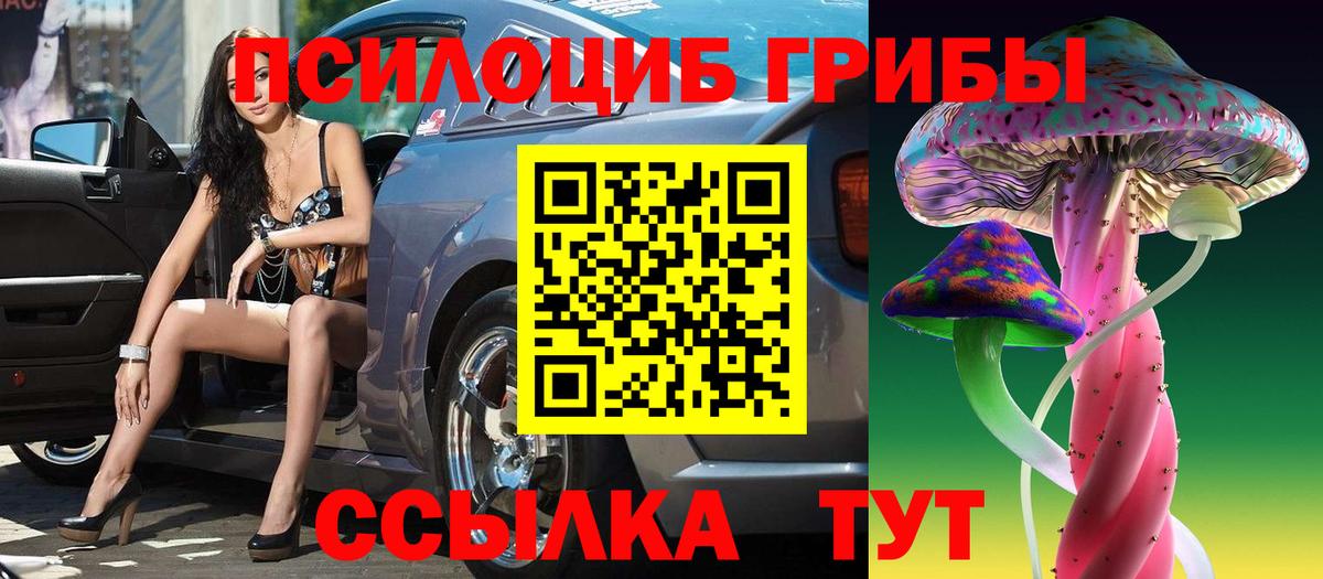 Псилоцибиновые грибы Psilocybine cubensis  Псилоцибиновые грибы GOLDEN TEACHER  Дзержинск  хочу   Вход с VPN 