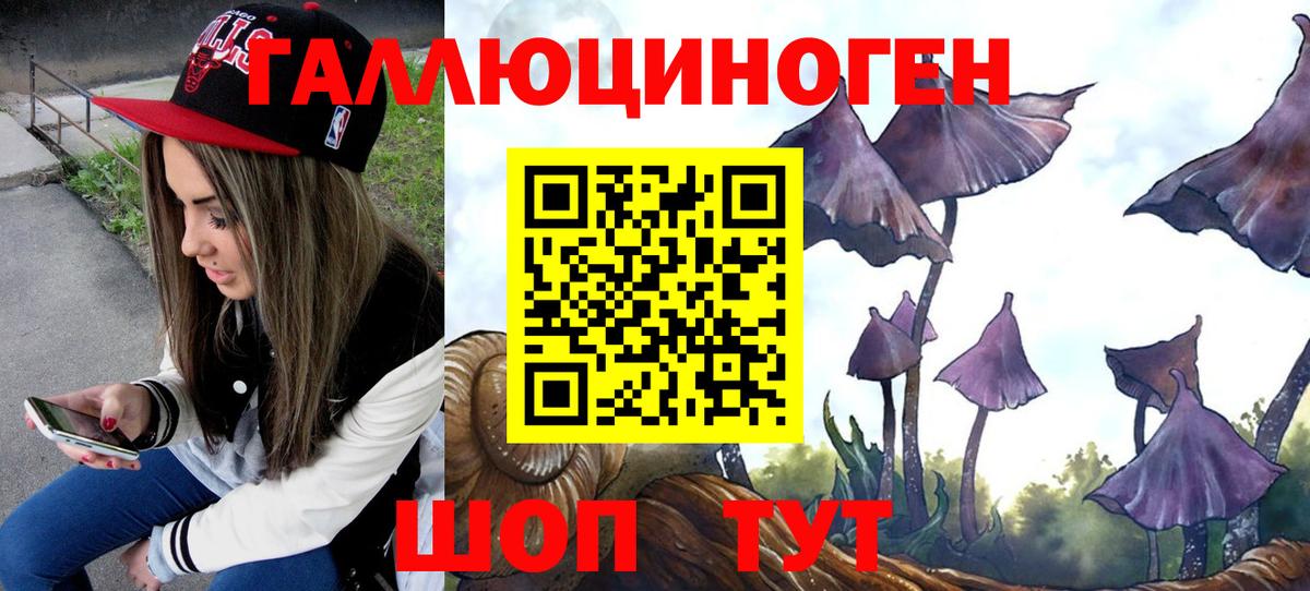 Галлюциногенные грибы Magic Shrooms Дзержинск